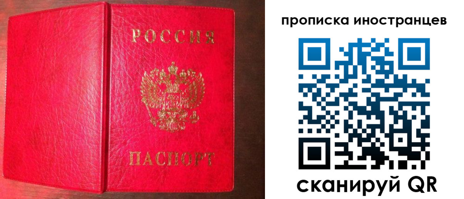 пропишу в квартире в Твери